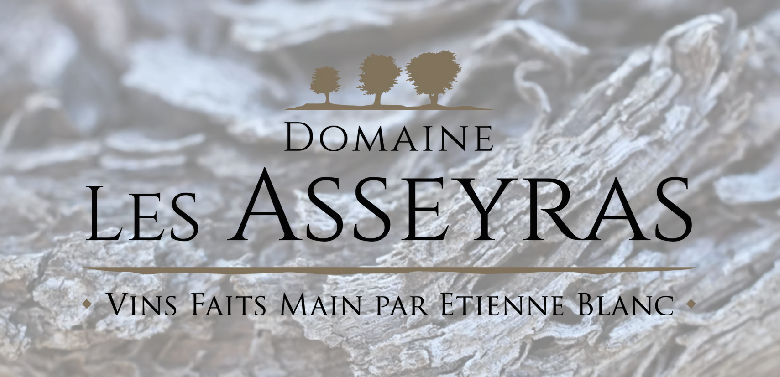 Logo DOMAINE LES ASSAYRAS