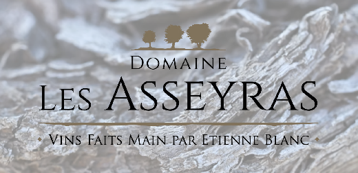 Logo DOMAINE LES ASSAYRAS